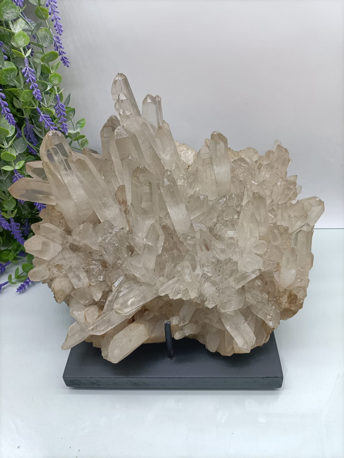 Lemurian Seeds Crystal AAA Grade Quality Extra Large Size 868g 220x65mm Crystal Wellness