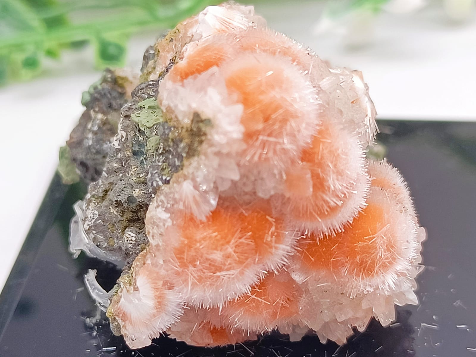 Orange Thomsonite with Mesolite Spikes AAA Grade 37x30x25mm Crystal Wellness