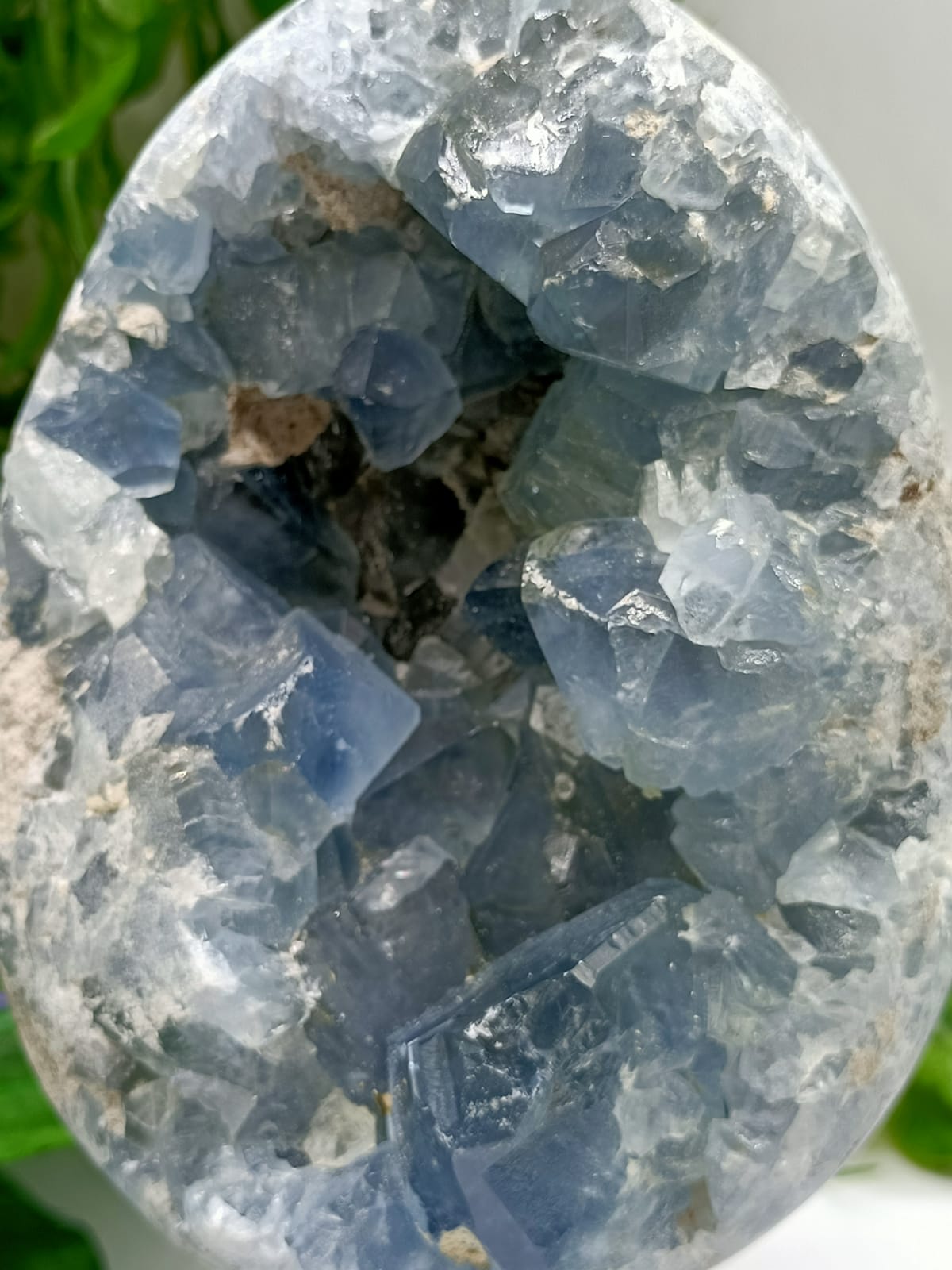 Celestite Geode Crystal Wellness