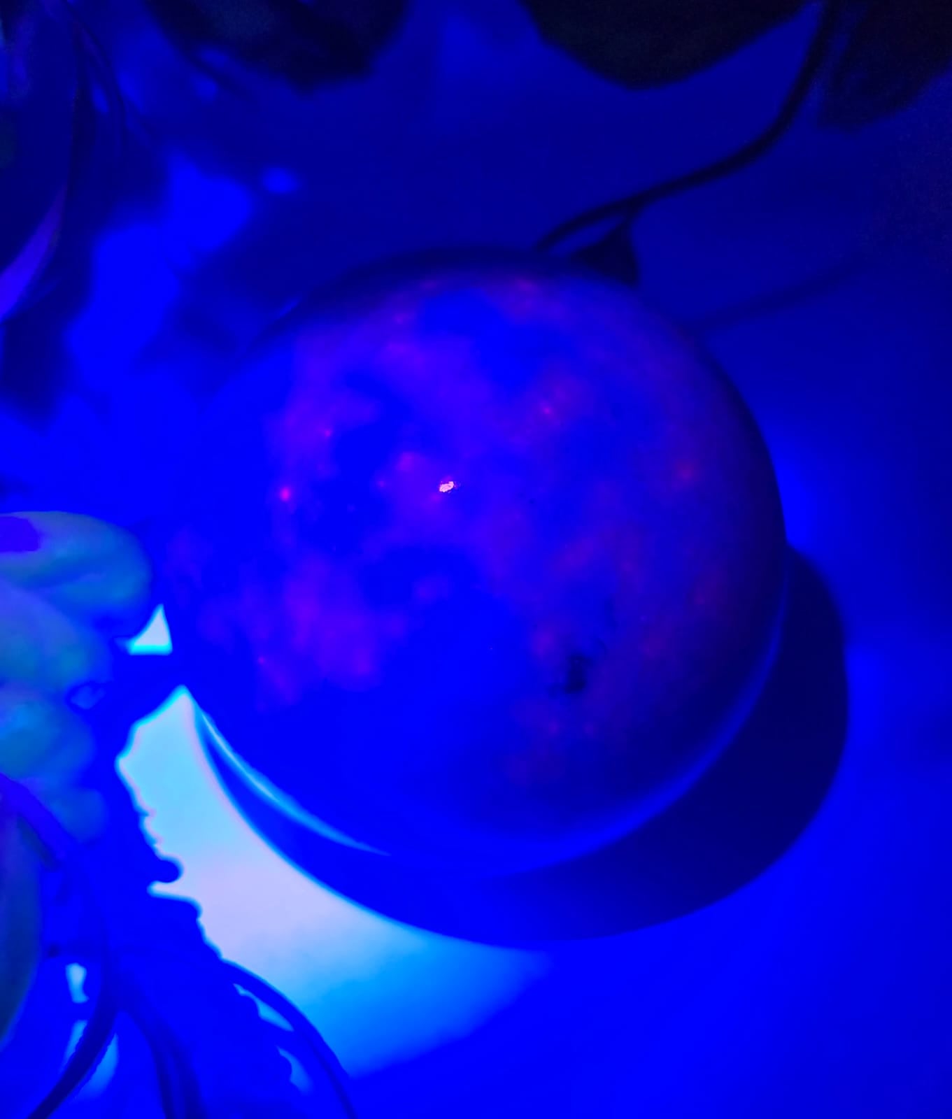 Hackmanite Sphere 0.3kgs Crystal Wellness