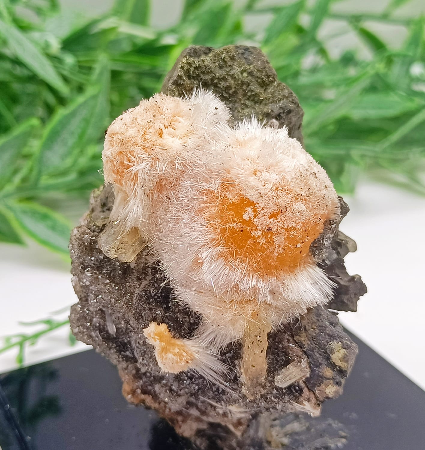 Orange Thomsonite with Mesolite Spikes 59x55x44mm Crystal Wellness