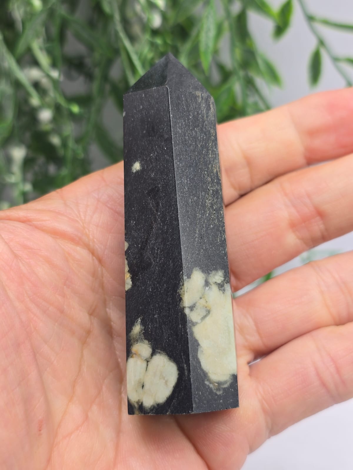 Plum Blossom Jasper Point Crystal Wellness