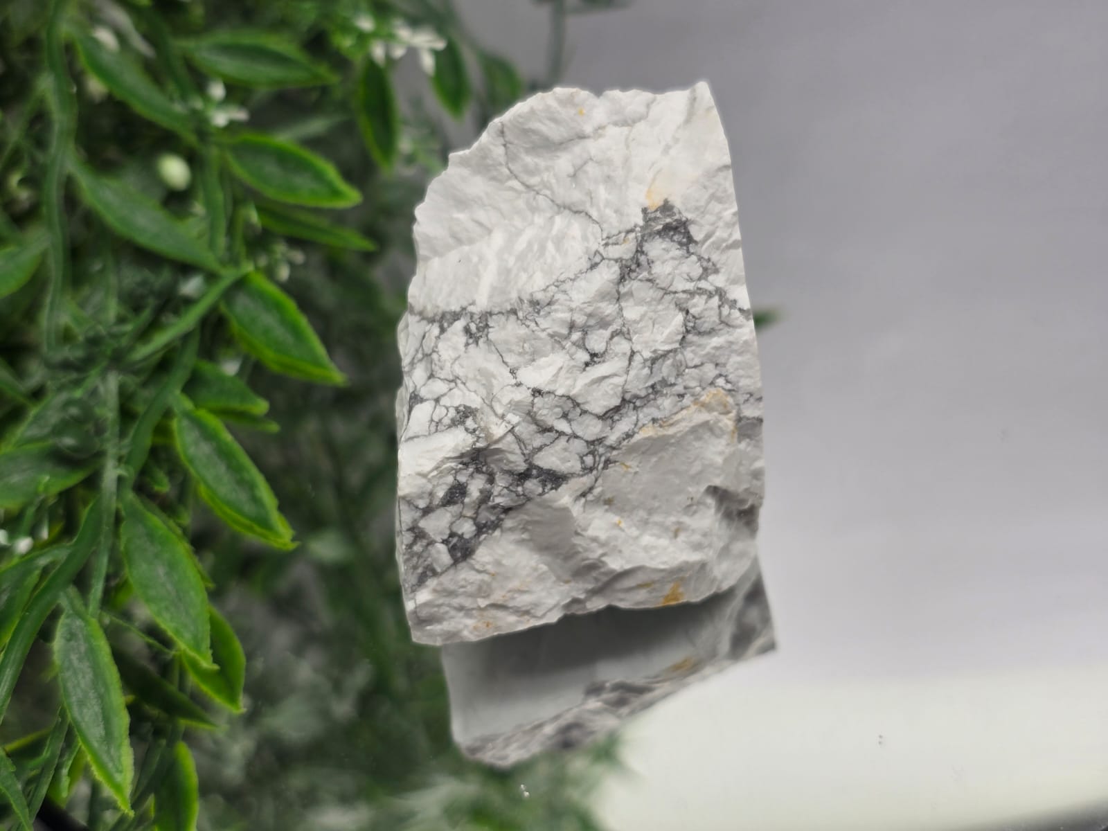Howlite Raw Crystal Wellness