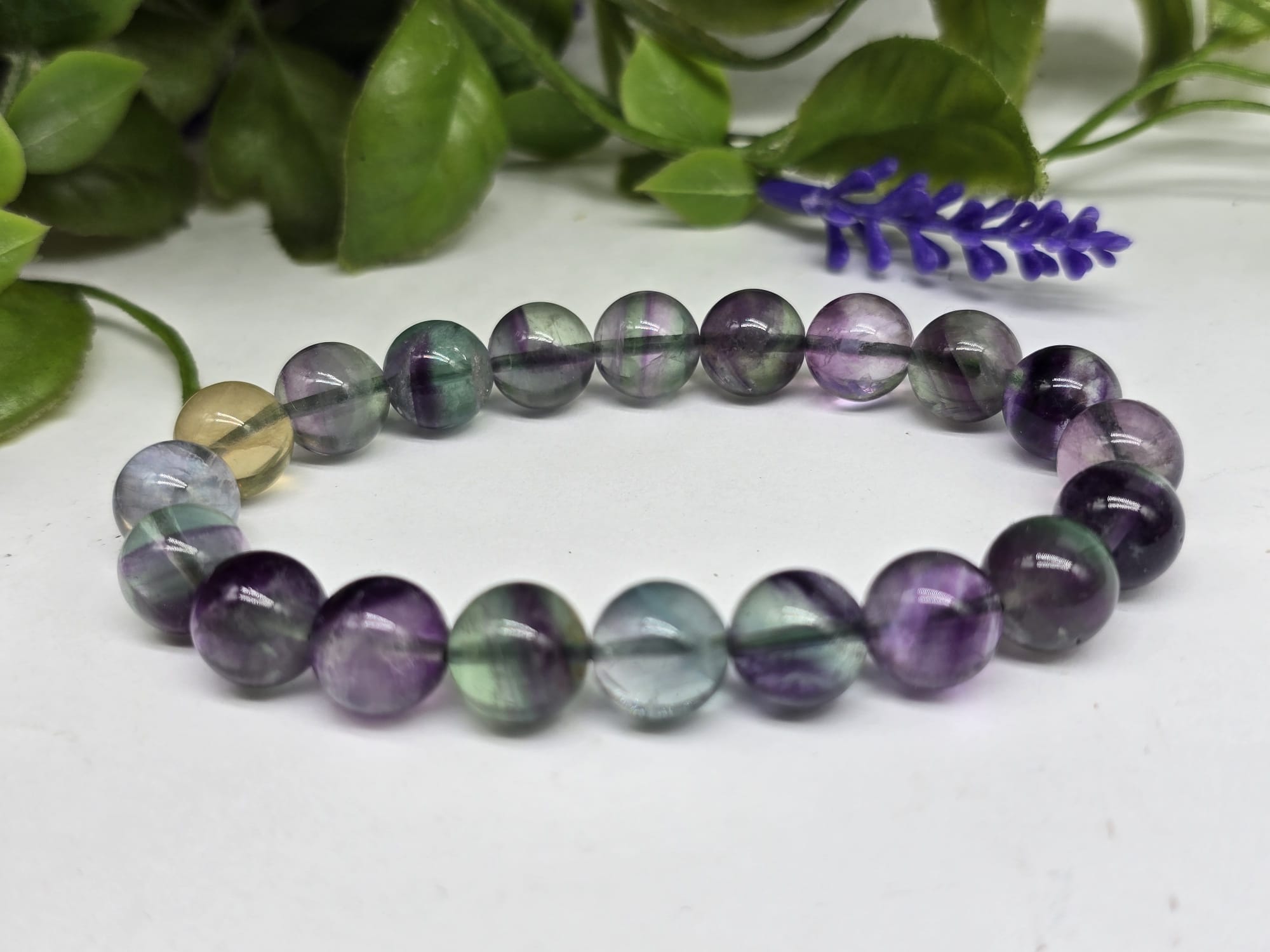 Multicolour Rainbow Fluorite Beads Bracelet 10mm - High Grade Crystal Wellness