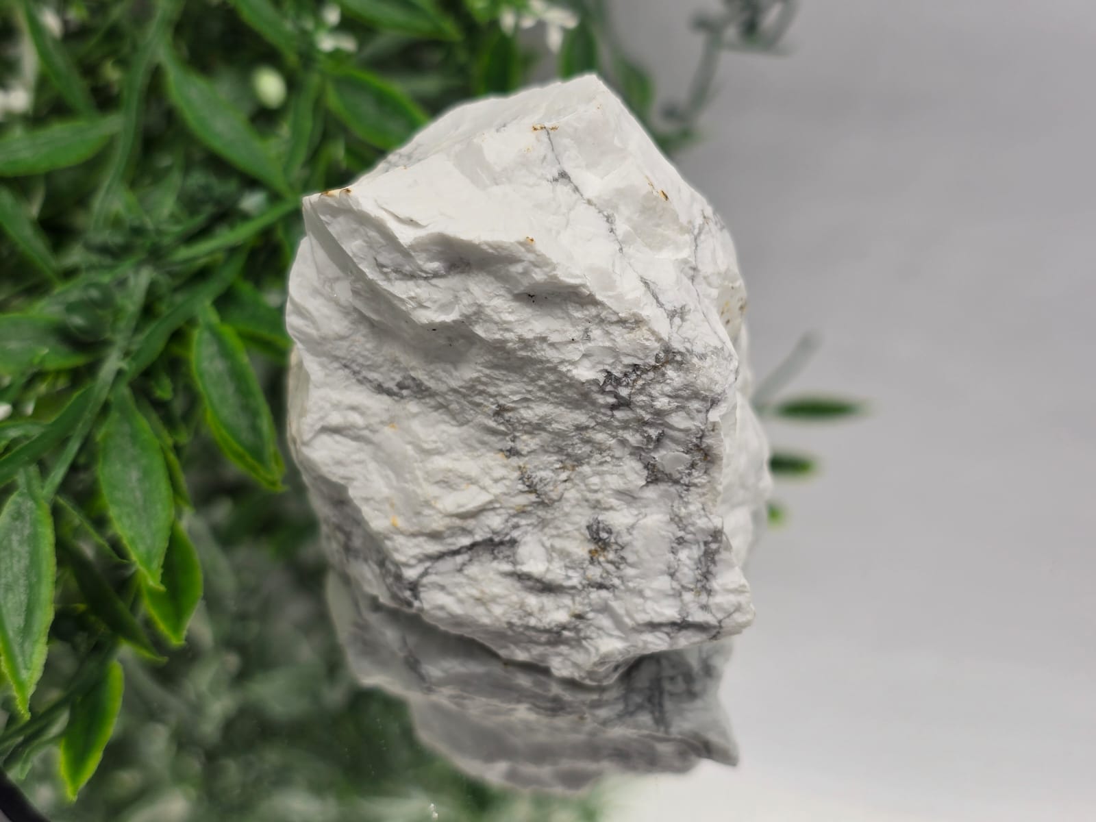 Howlite Raw Crystal Wellness