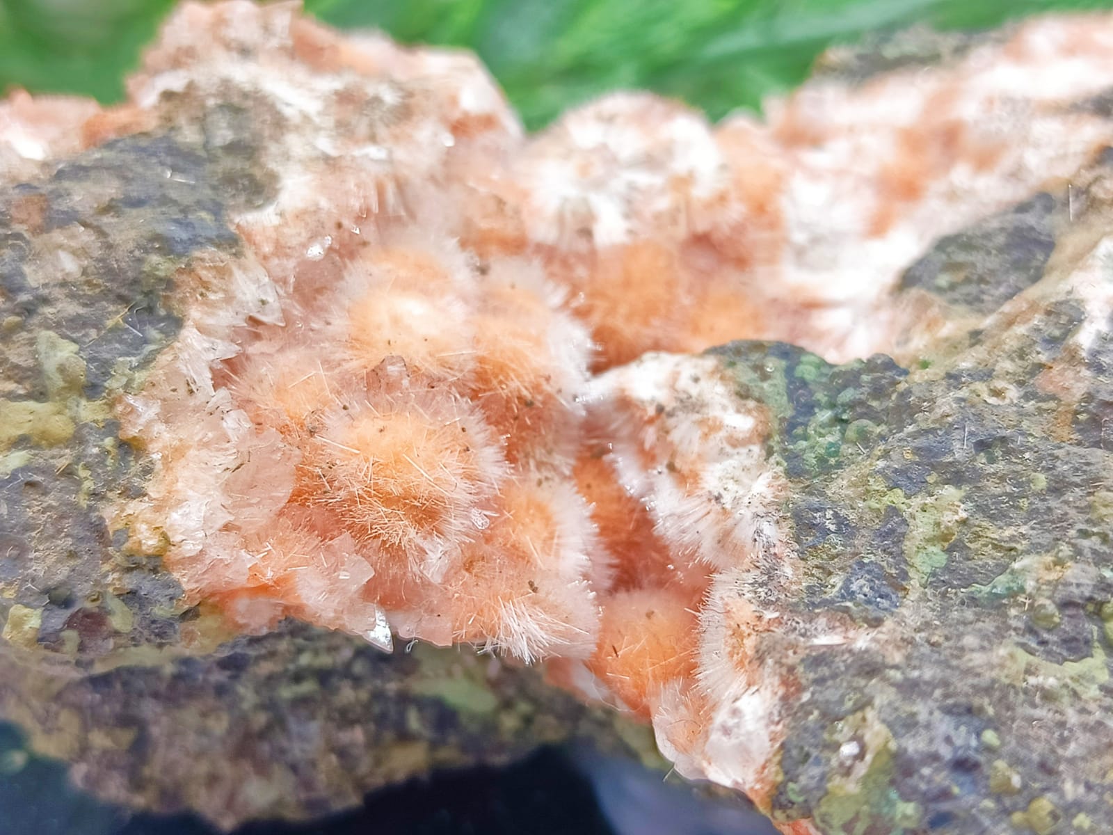 Orange Thomsonite with Mesolite Spikes 121x61x31mm Crystal Wellness