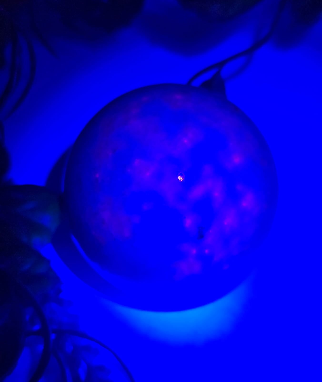 Hackmanite Sphere 0.3kgs Crystal Wellness