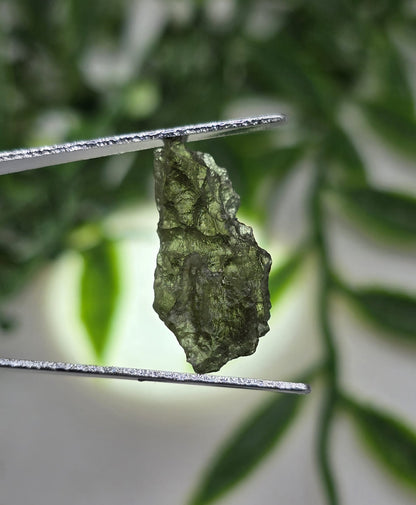 Authentic Moldavite 1.1g 19x10x8mm Crystal Wellness