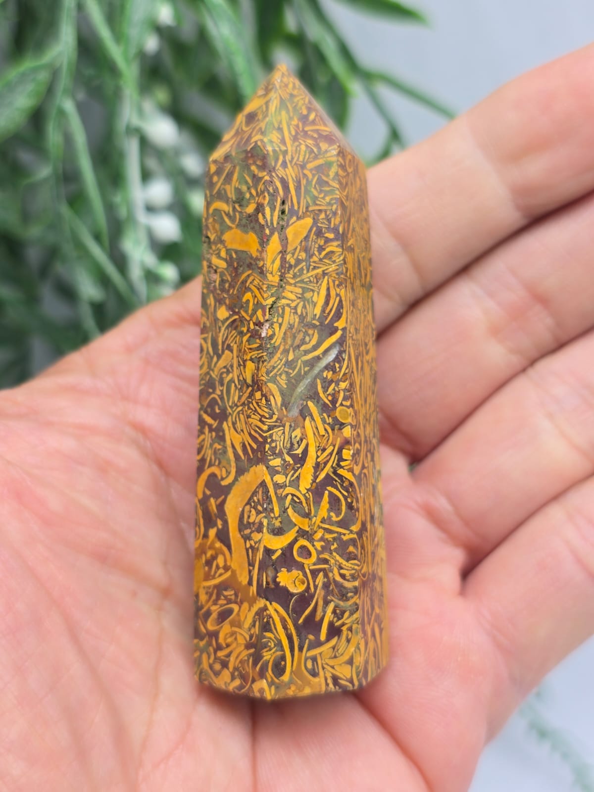 Elephant Jasper Point Crystal Wellness