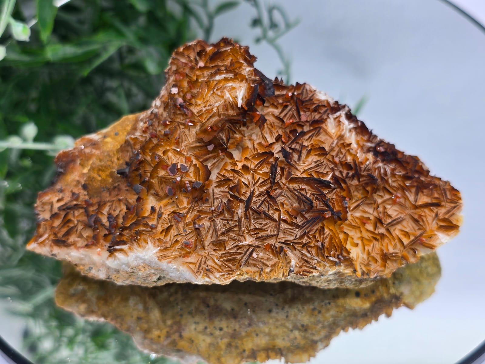 Rare Vanadinite with Baryte Cluster 476g Crystal Wellness