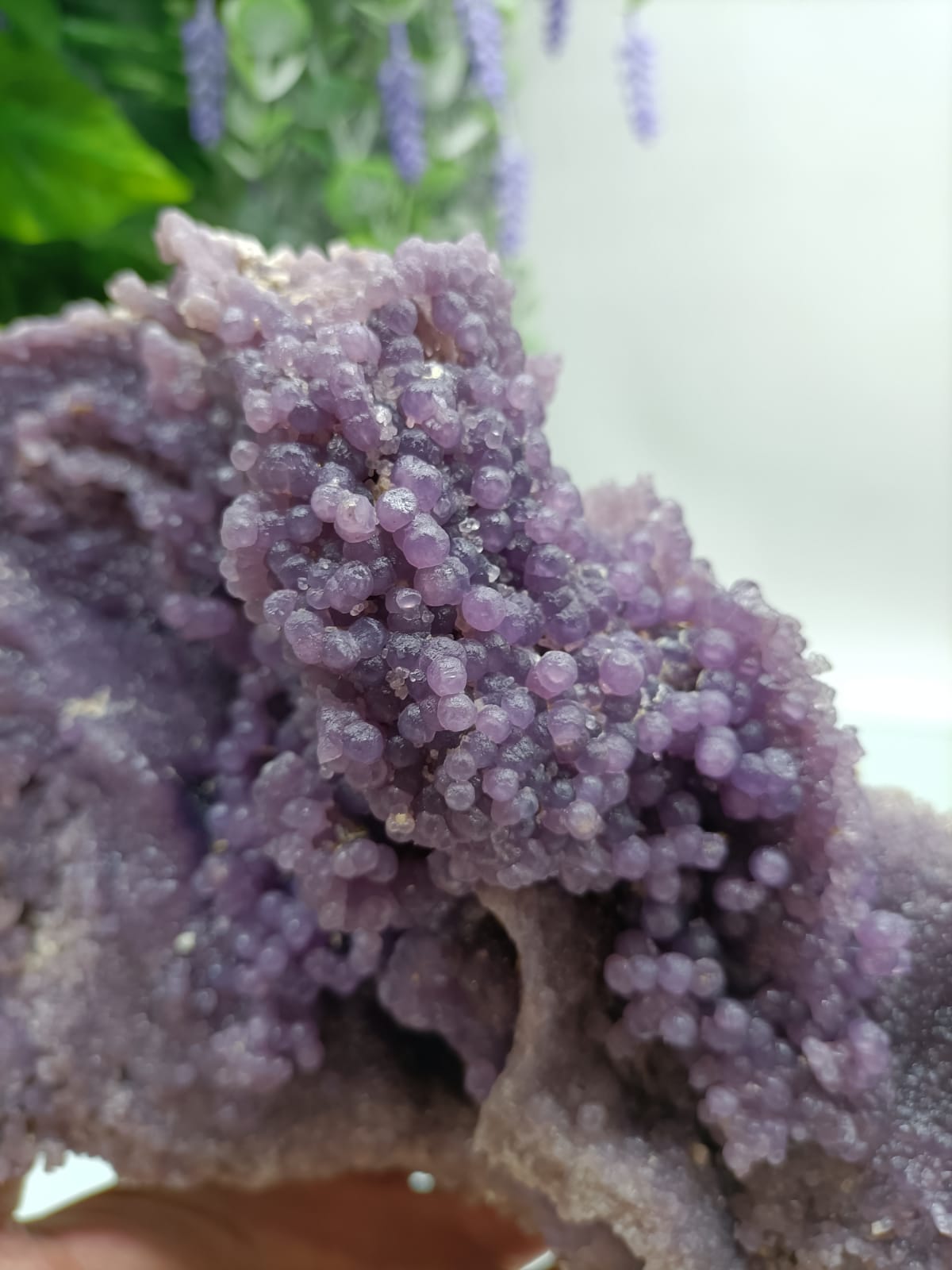 1.64 Kg Grape Agate 21x14x8cm Crystal Wellness