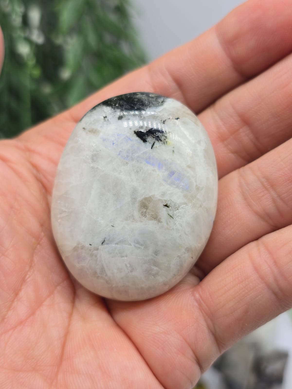 Rainbow Moonstone AAA Grade Palmstones Crystal Wellness