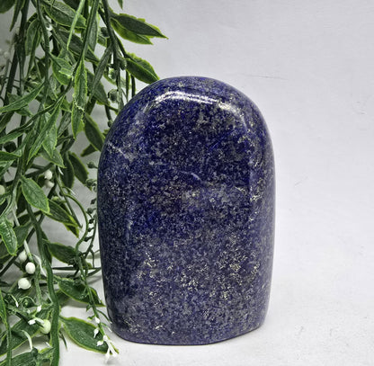 Lapis Lazuli Freeform Crystal Wellness