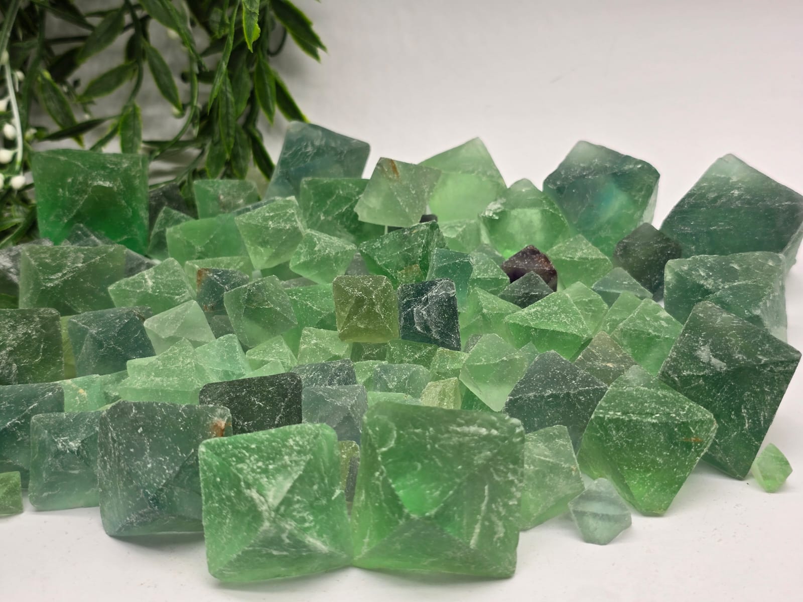 Fluorite Octahedron Crystal Wellness