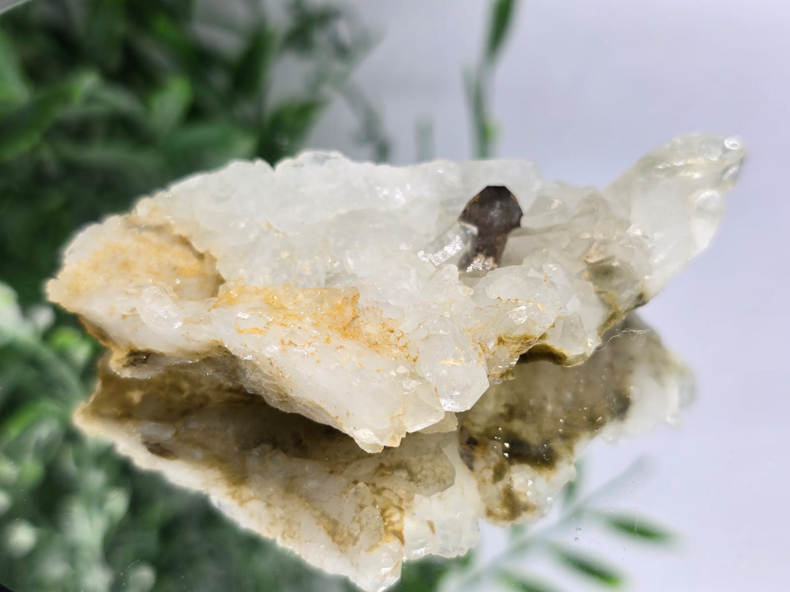 Rare Brookite Crystal 47g Crystal Wellness
