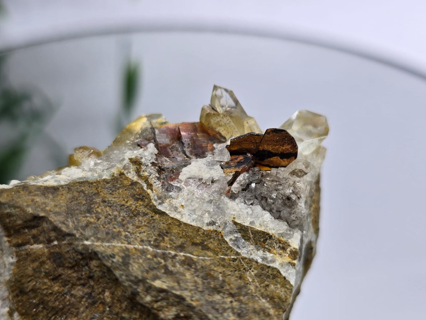 Rare Brookite Crystal 187g Crystal Wellness