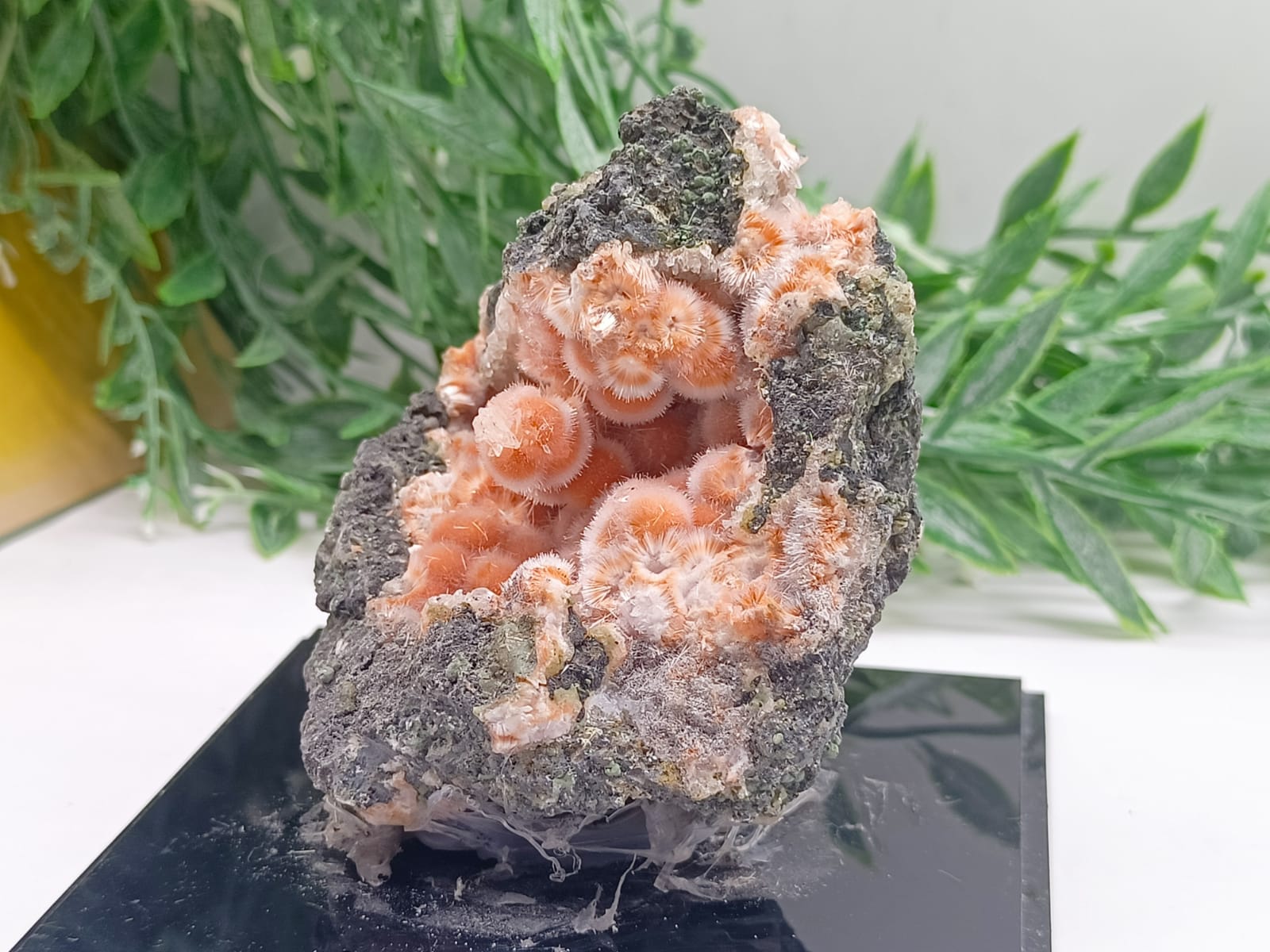 Orange Thomsonite with Mesolite Spikes 77x75x55mm Crystal Wellness