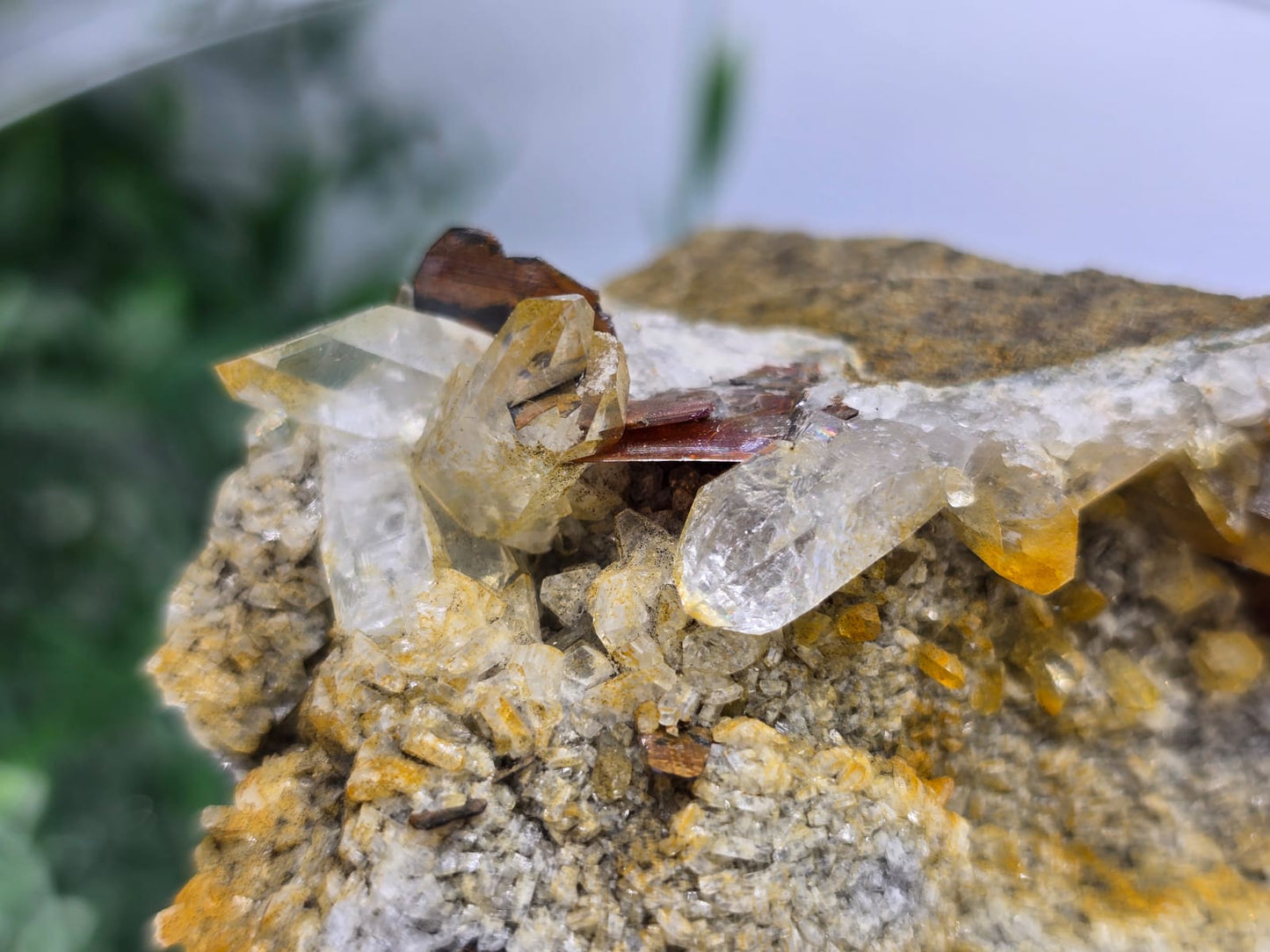 Rare Brookite Crystal 187g Crystal Wellness