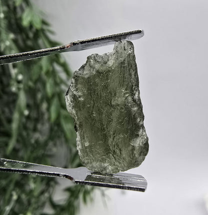 Authentic Moldavite 2.15g 24x12x5mm Crystal Wellness