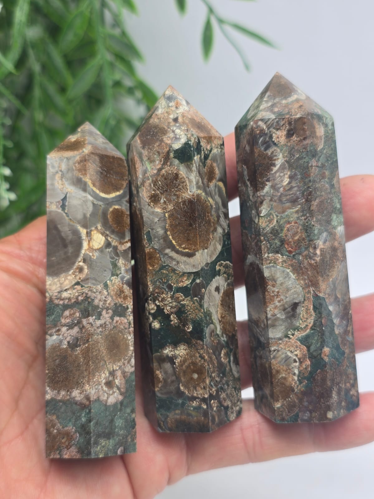 Fossil Agate Point Crystal Wellness