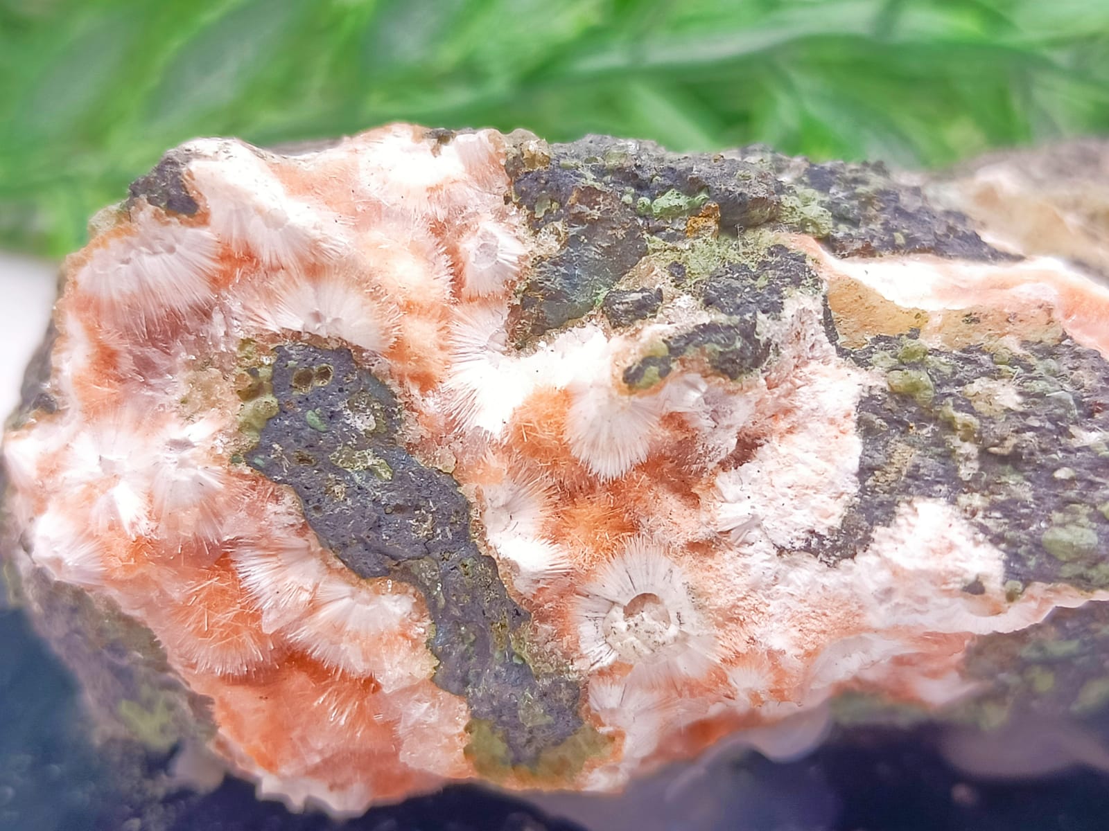 Orange Thomsonite with Mesolite Spikes 121x61x31mm Crystal Wellness