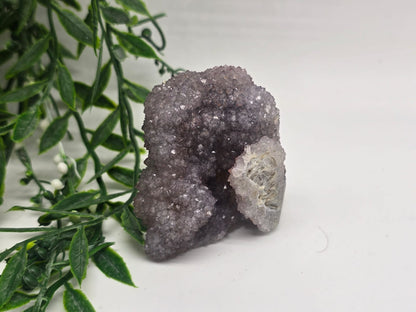Spirit Quartz 161g 6x6x3 Crystal Wellness