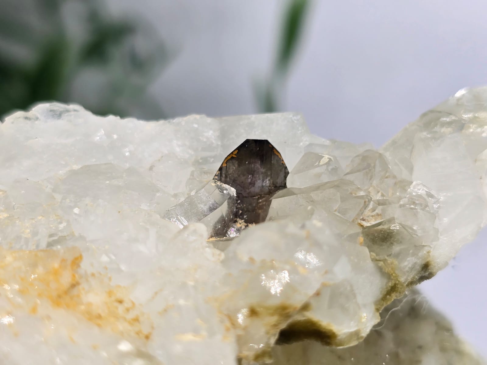 Rare Brookite Crystal 47g Crystal Wellness