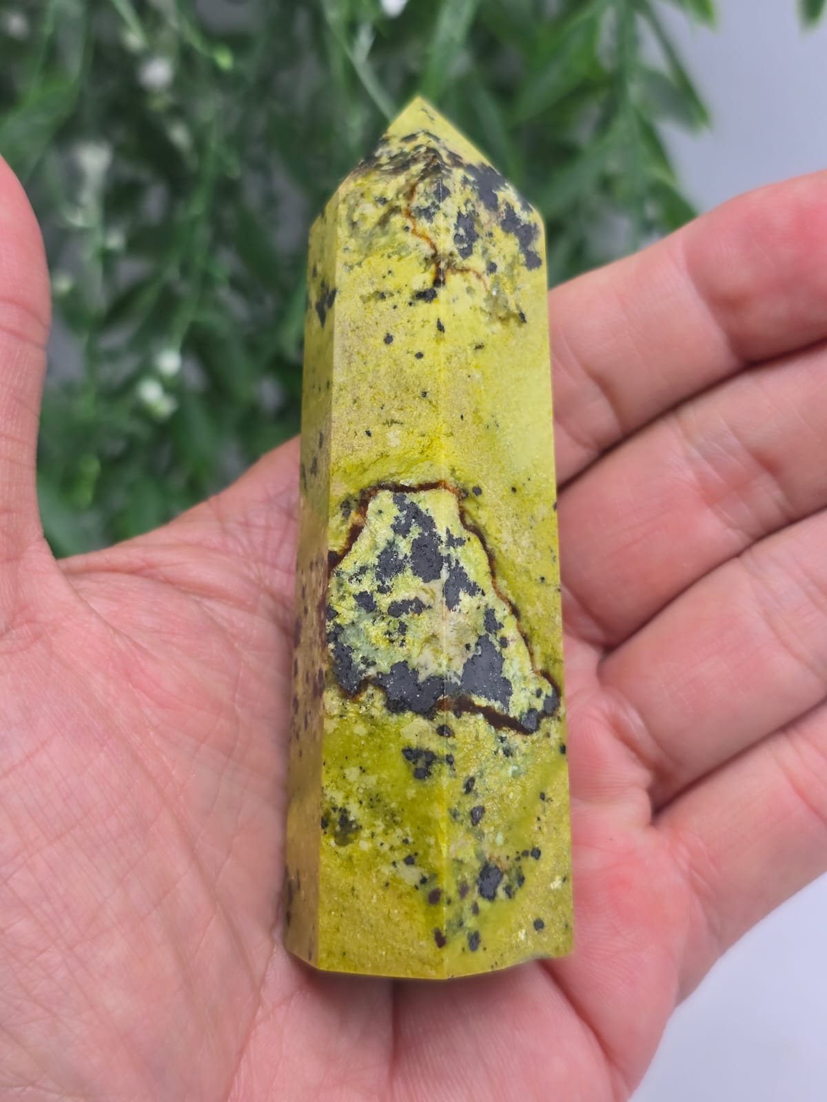 Atlantisite Point Crystal Wellness