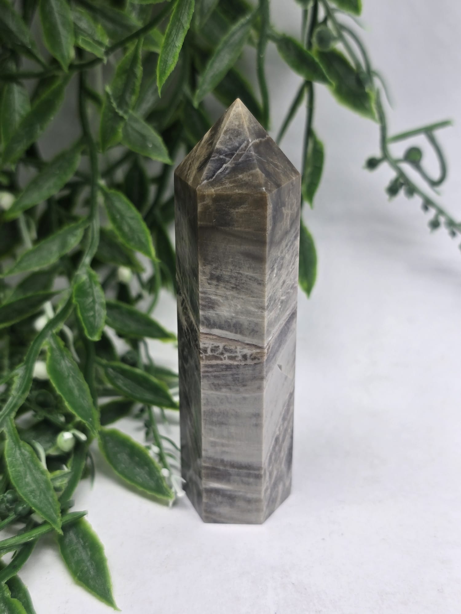 Petrified Wood Point Crystal Wellness