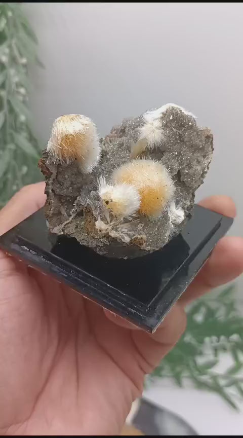Thomsonite with Mesolite Spikes AAA Grade 57x50x44mm