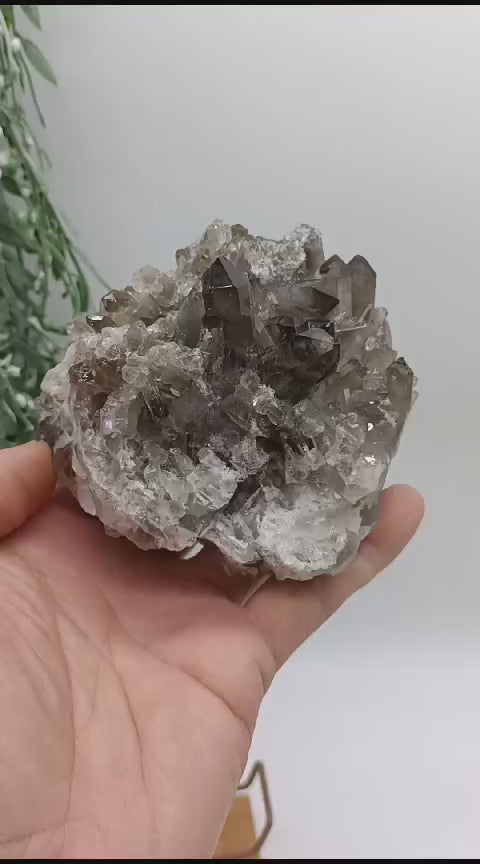 Smokey Quartz Cluster 0.6kg 10x9x7cm