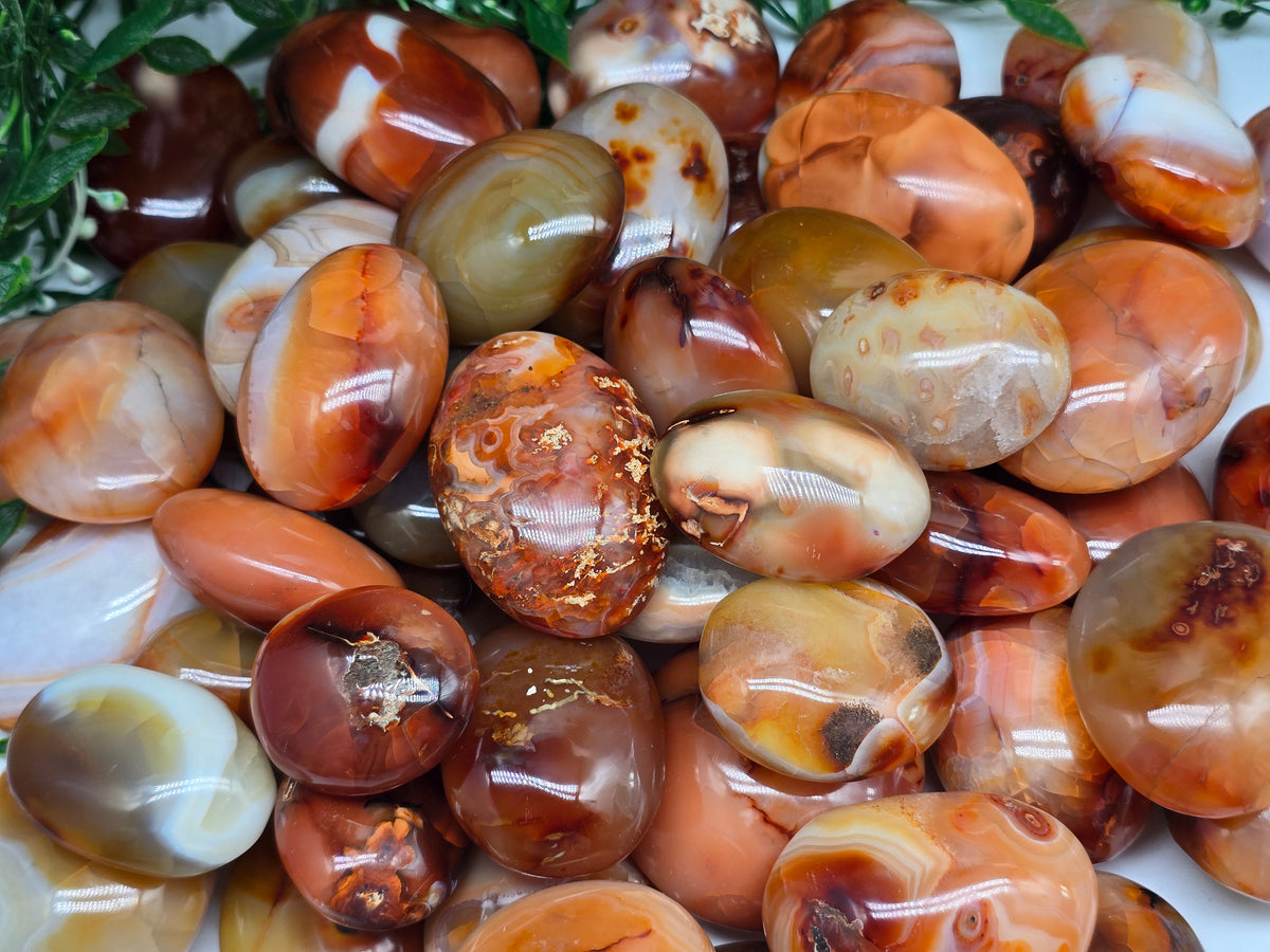 Premium Madagascar Carnelian Palmstone — Stone of Vitality, Courage & Motivation Crystal Wellness