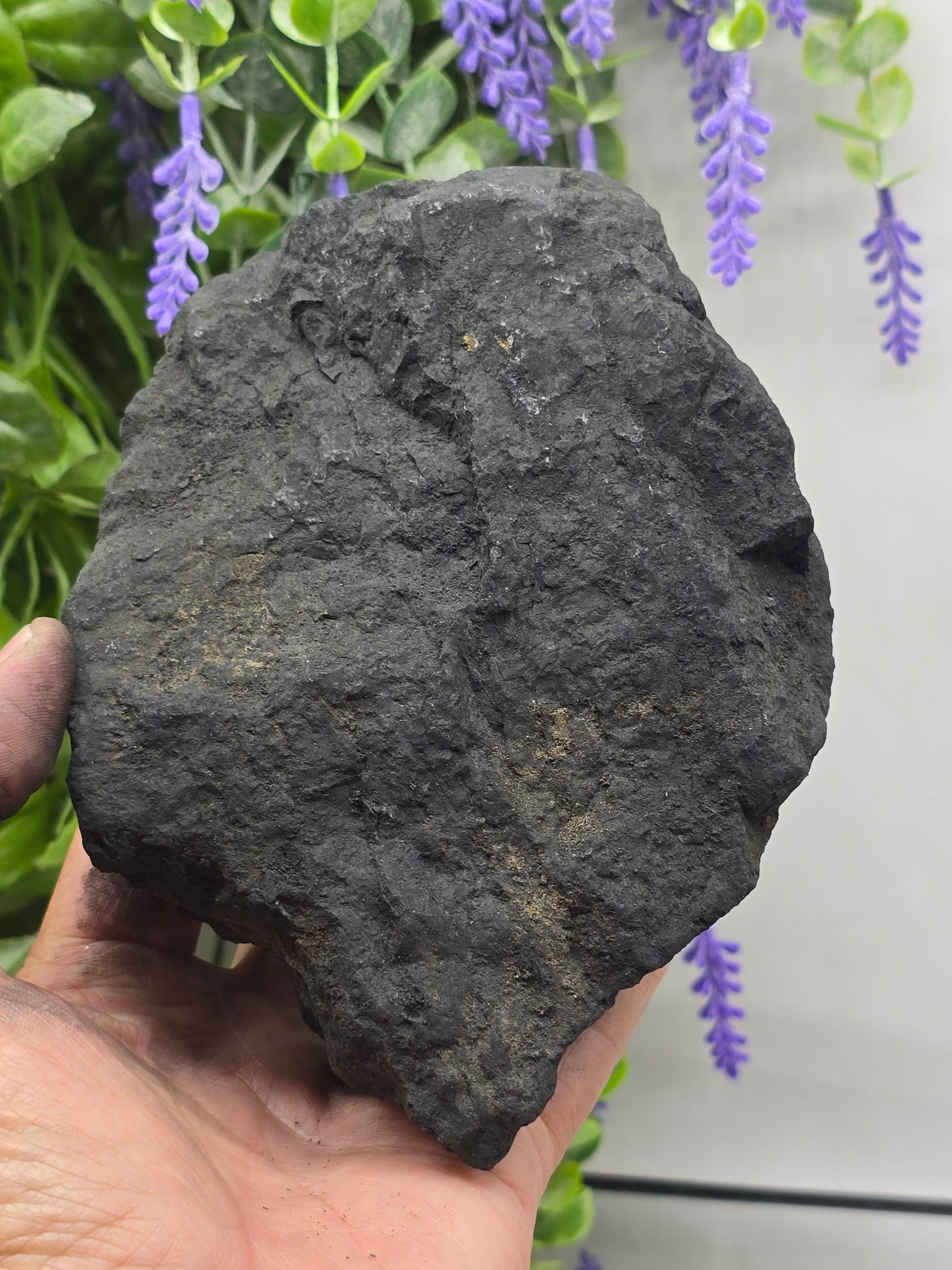 Raw Shungite — Stone of Grounding & Protection | 1.350kgs Crystal Wellness