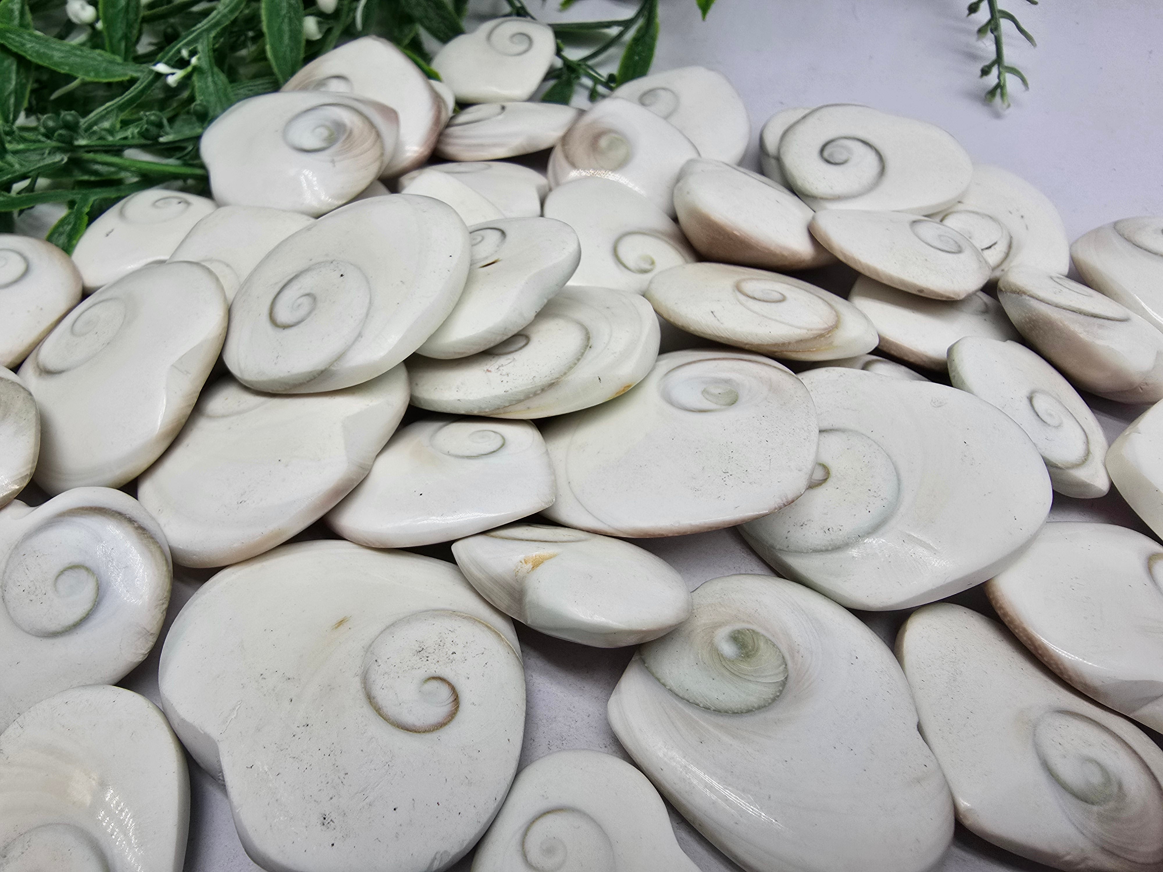 Operculum Crystal Wellness