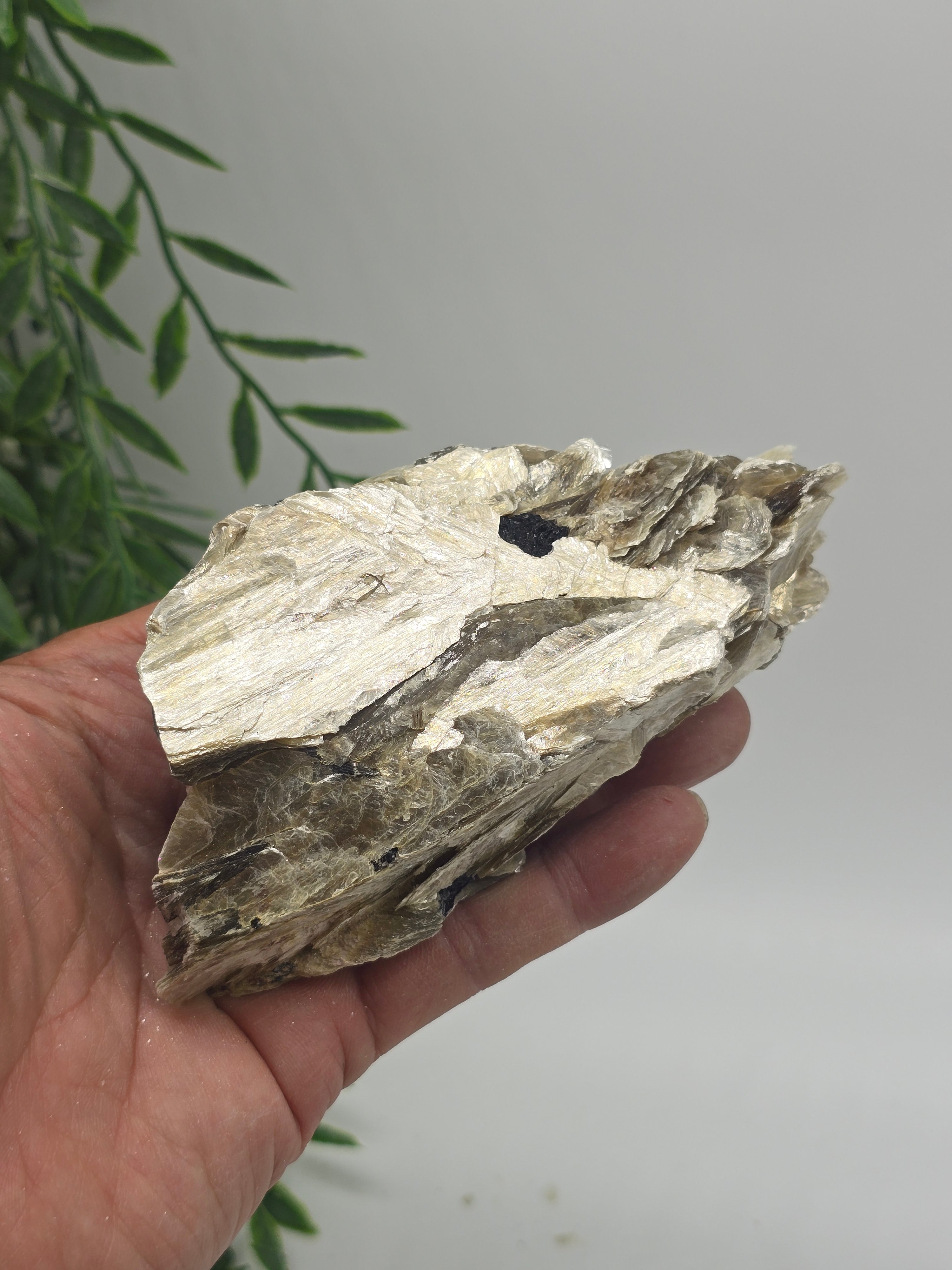 Rare Mica with Black Tourmaline – 13x7x4cm | 0.4kg Crystal Wellness