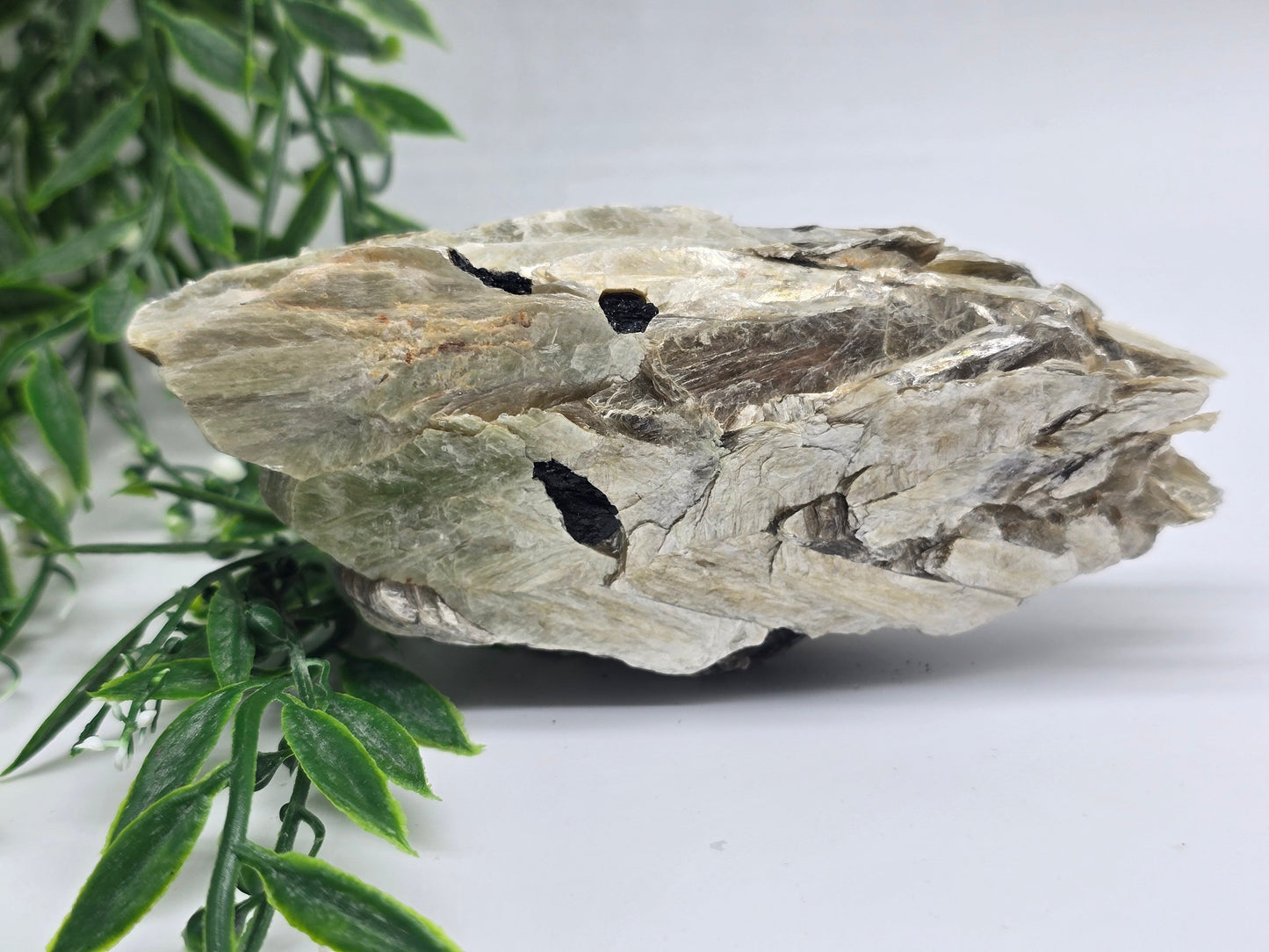 Rare Mica with Black Tourmaline – 13x7x4cm | 0.4kg Crystal Wellness