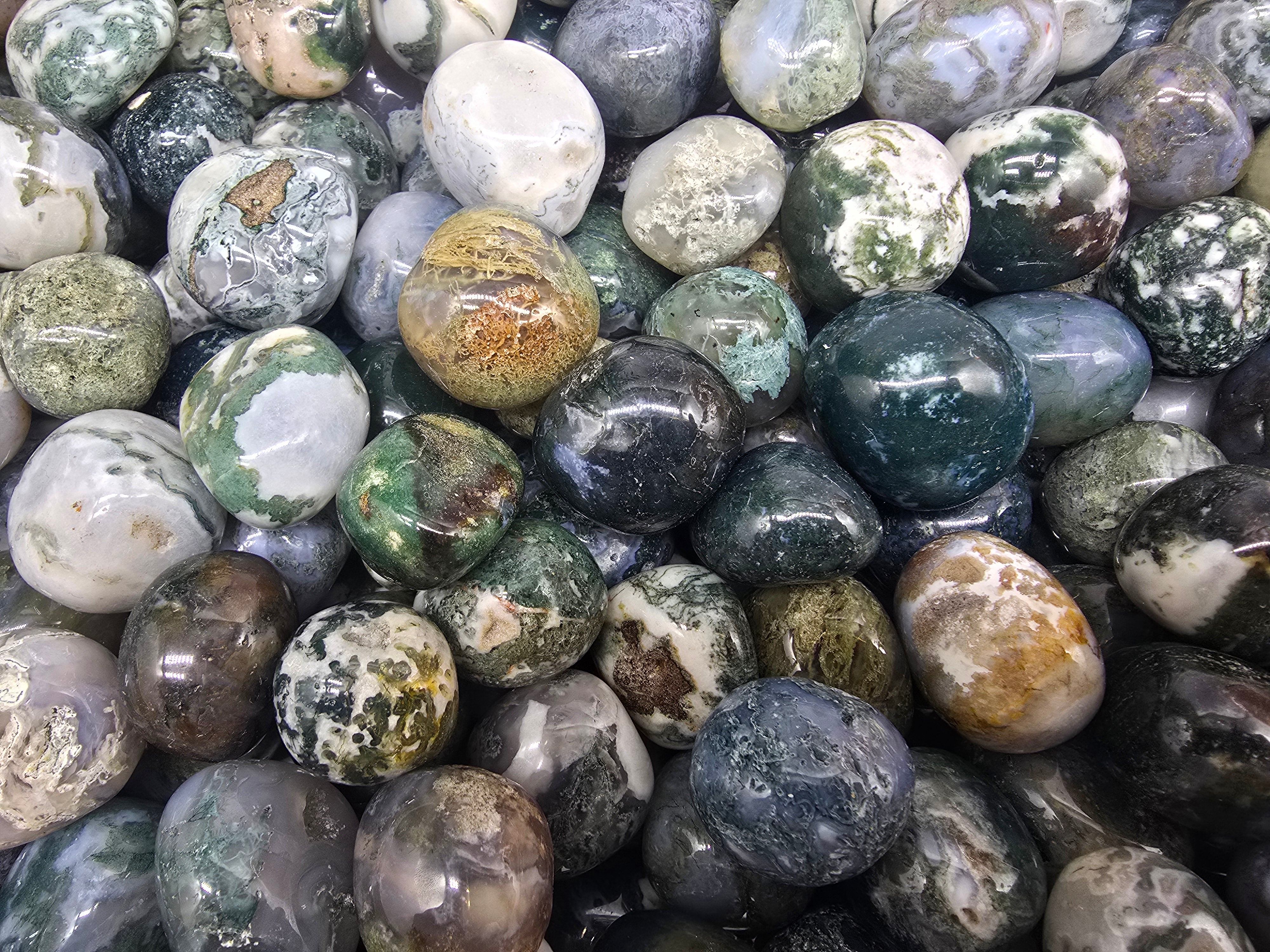 Tree Agate Tumbled Stone Crystal Wellness