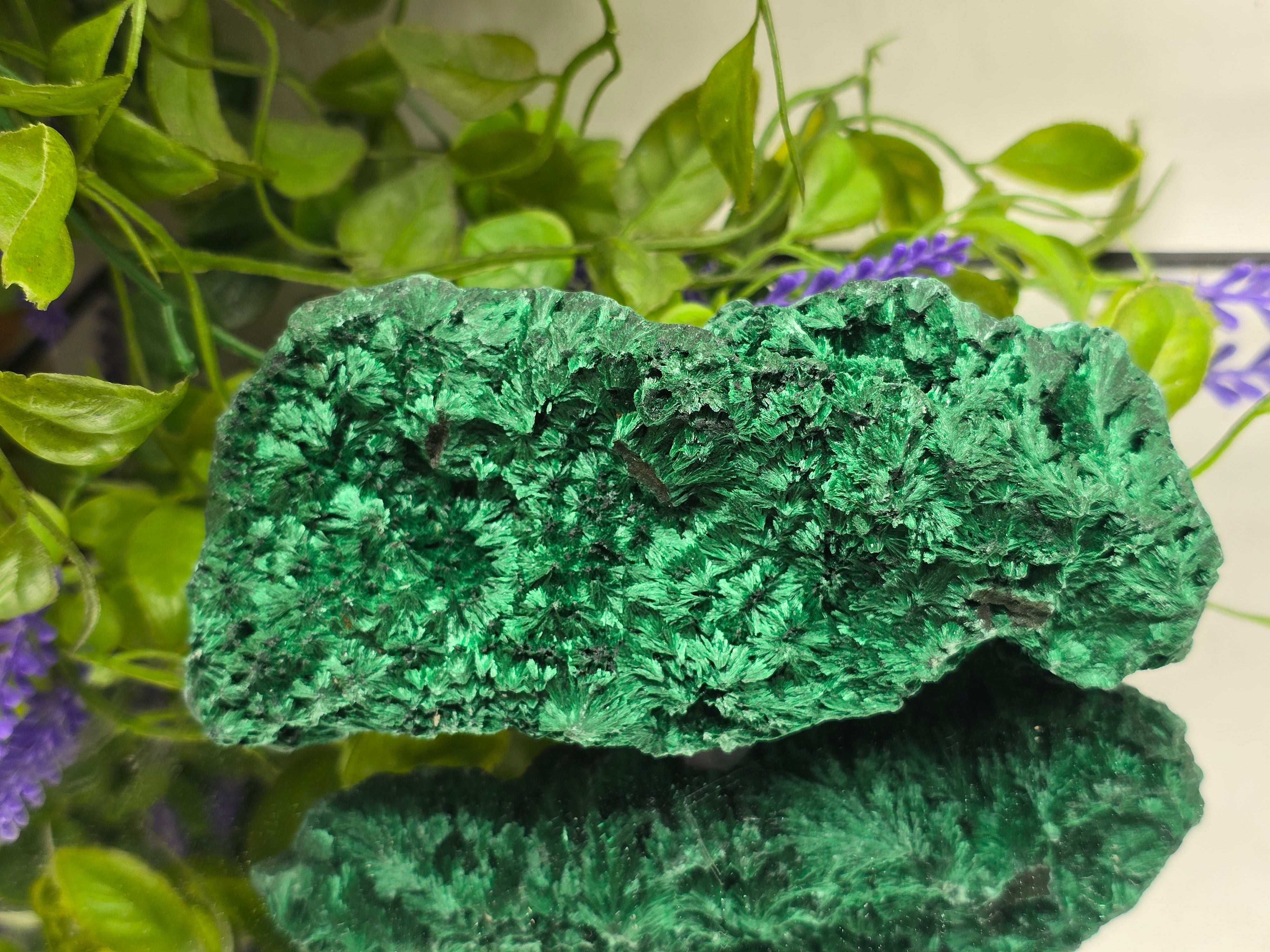 Fibrous Malachite Specimen 415g (Stone of Deep Transformation & Protection)