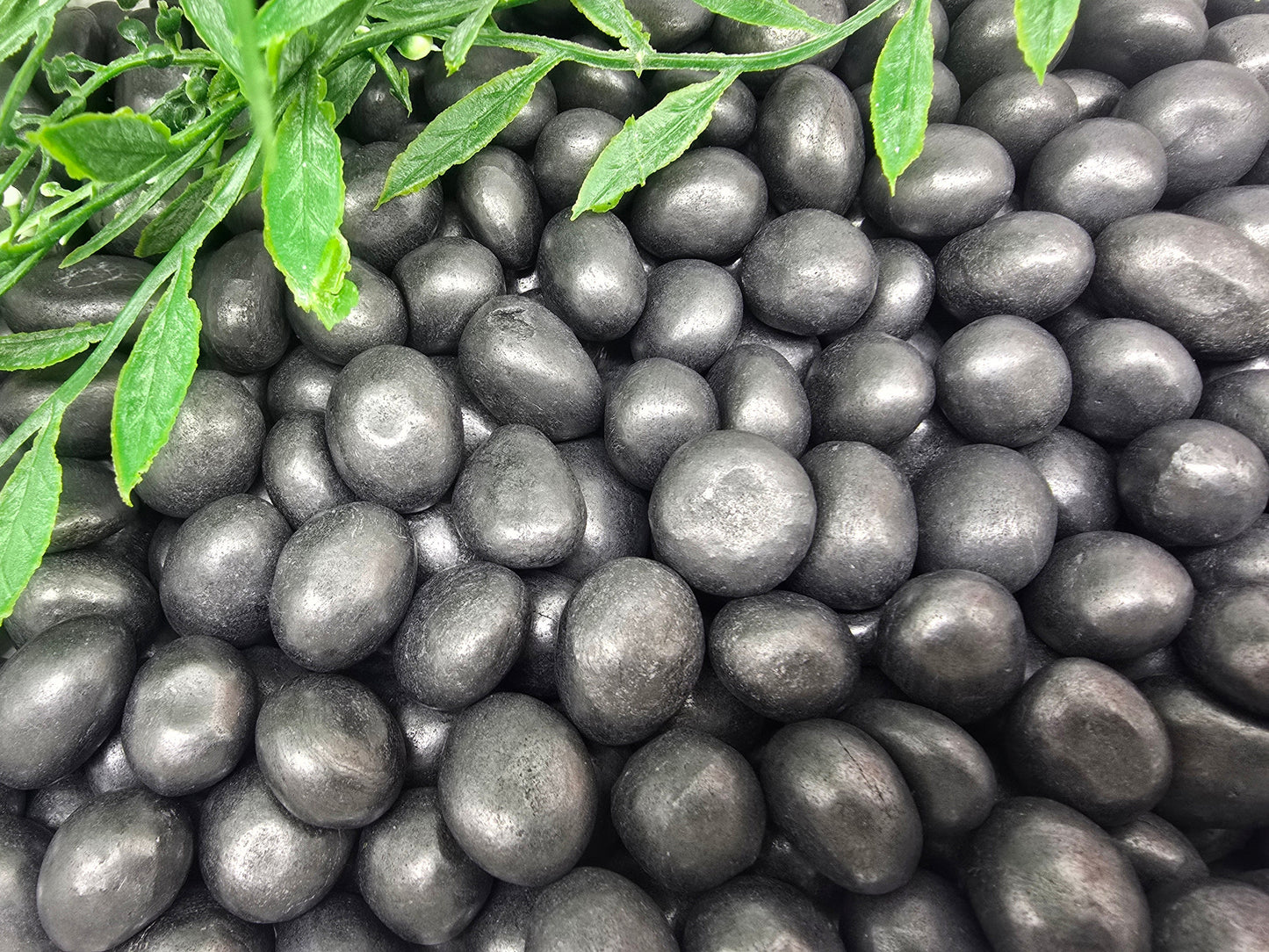 Shungite Tumbled Stone Crystal Wellness
