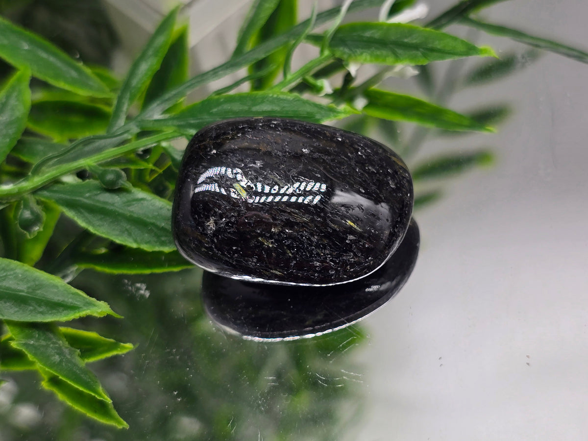 Genuine Nuumite Tumbled Stone | Stone of Ancient Protection, Transformation & Personal Power | 19.21g Crystal Wellness