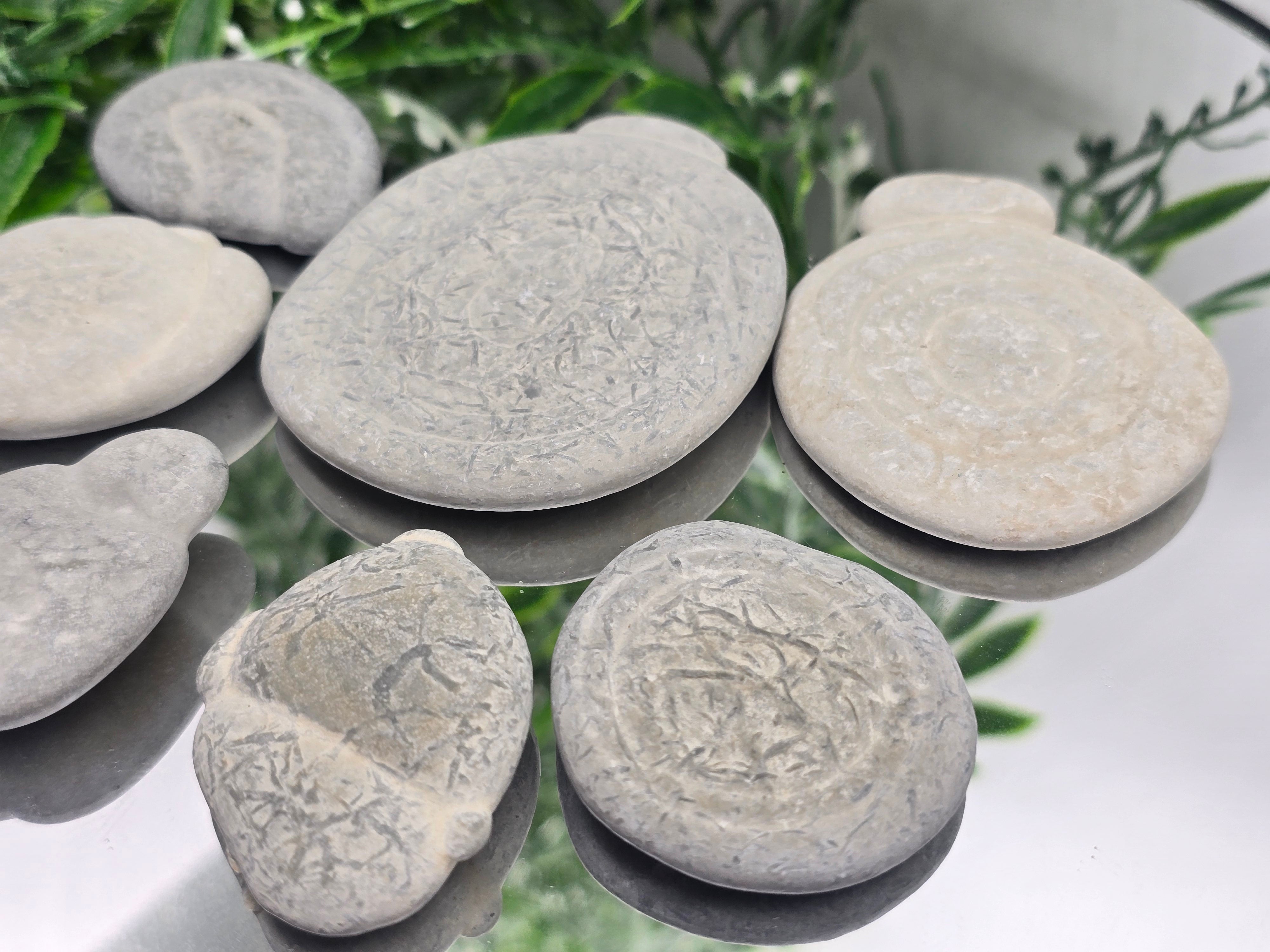 Fairy Stone Crystal Wellness