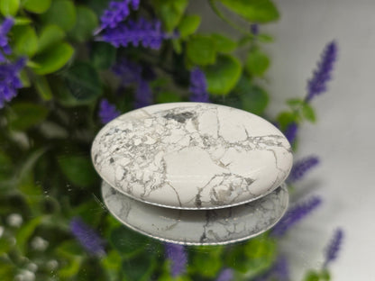 Howlite Palm Stone (Stone of Calmness & Patience) Crystal Wellness