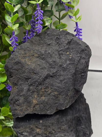 Raw Shungite — Stone of Grounding & Protection | 1.350kgs Crystal Wellness