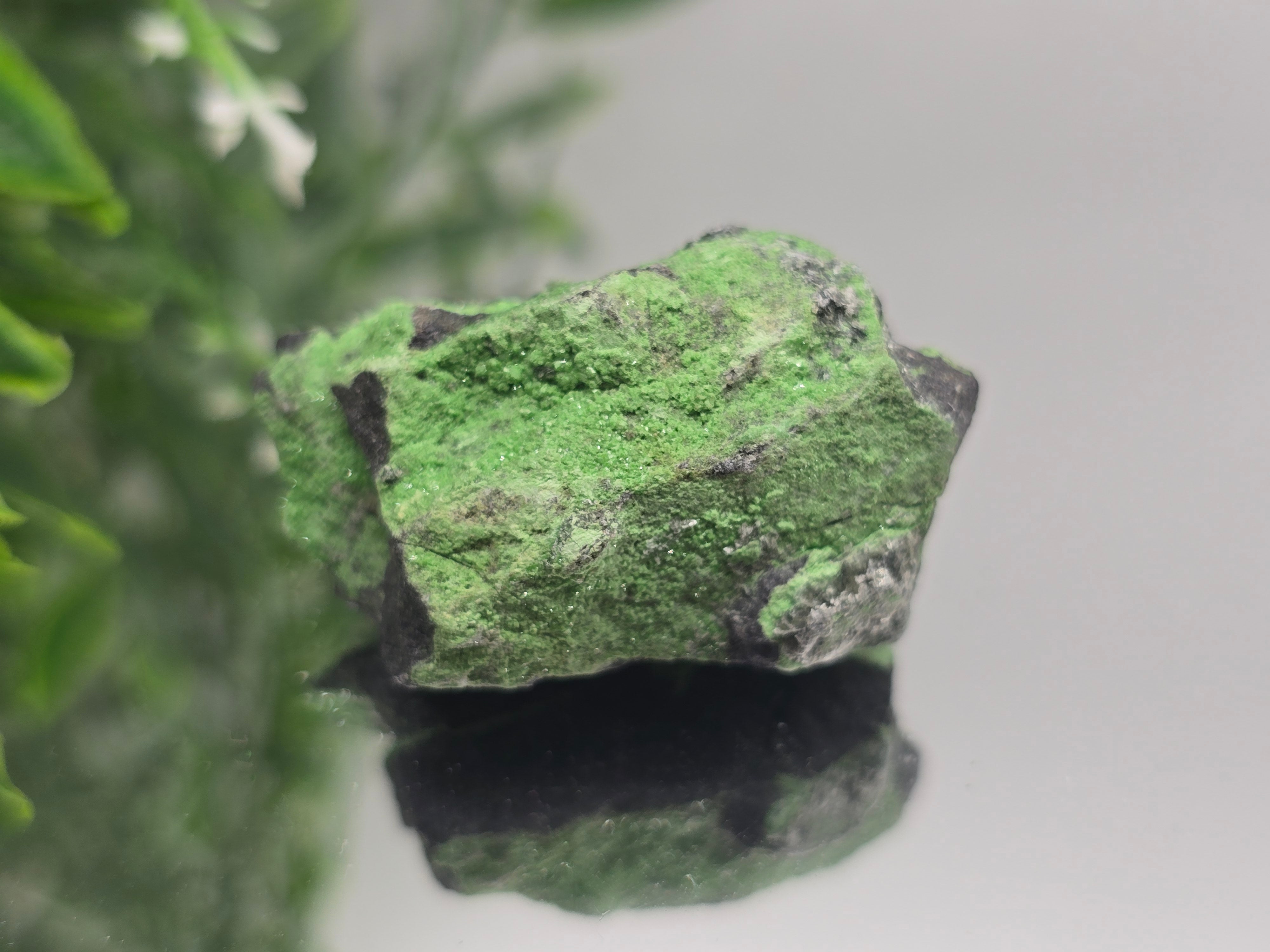 Uvarovite Rare 41 × 23 × 24mm (Stone of Abundant Heart & Prosperity) Crystal Wellness