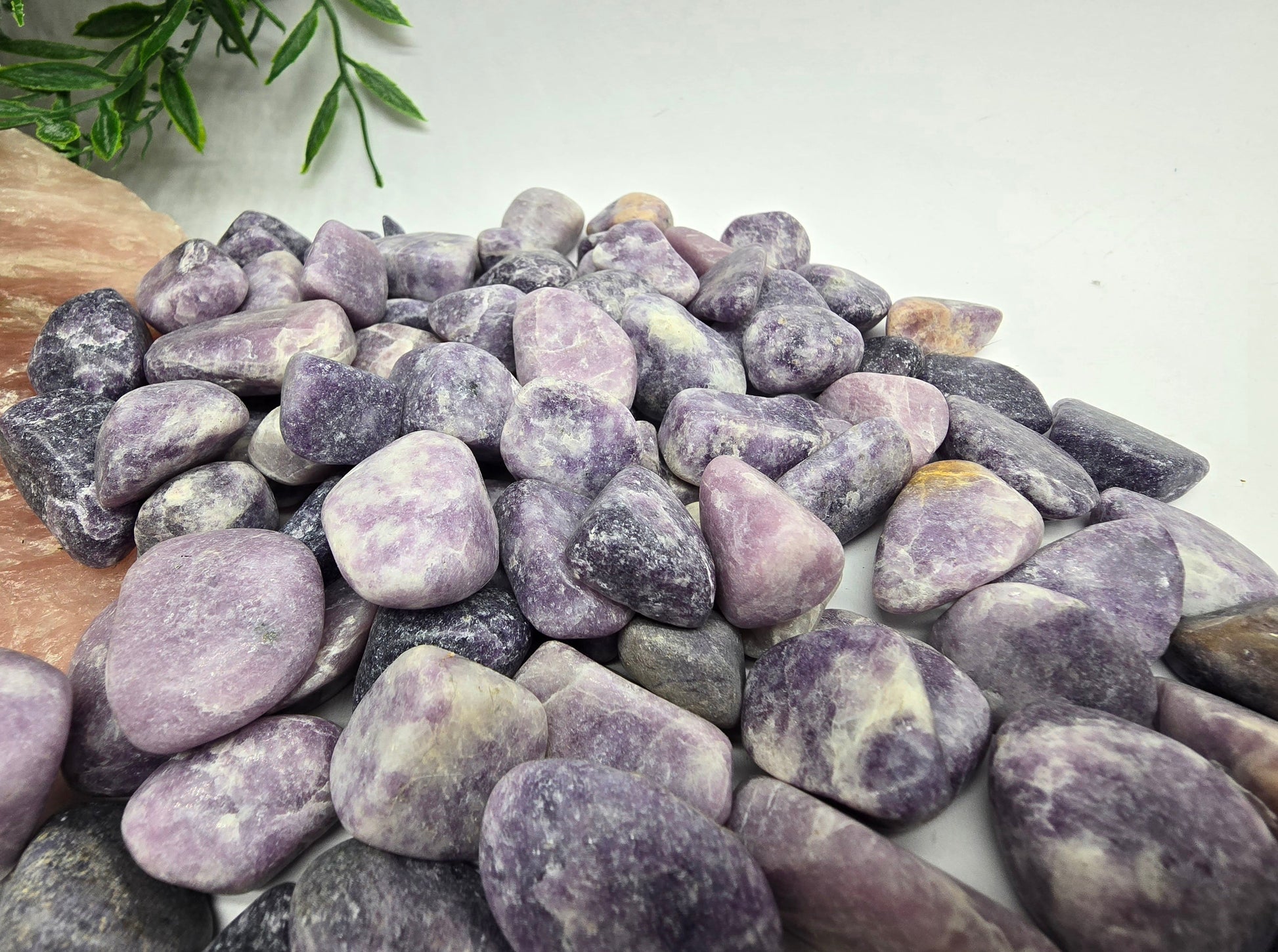 Lepidolite Tumbled Stone Crystal Wellness