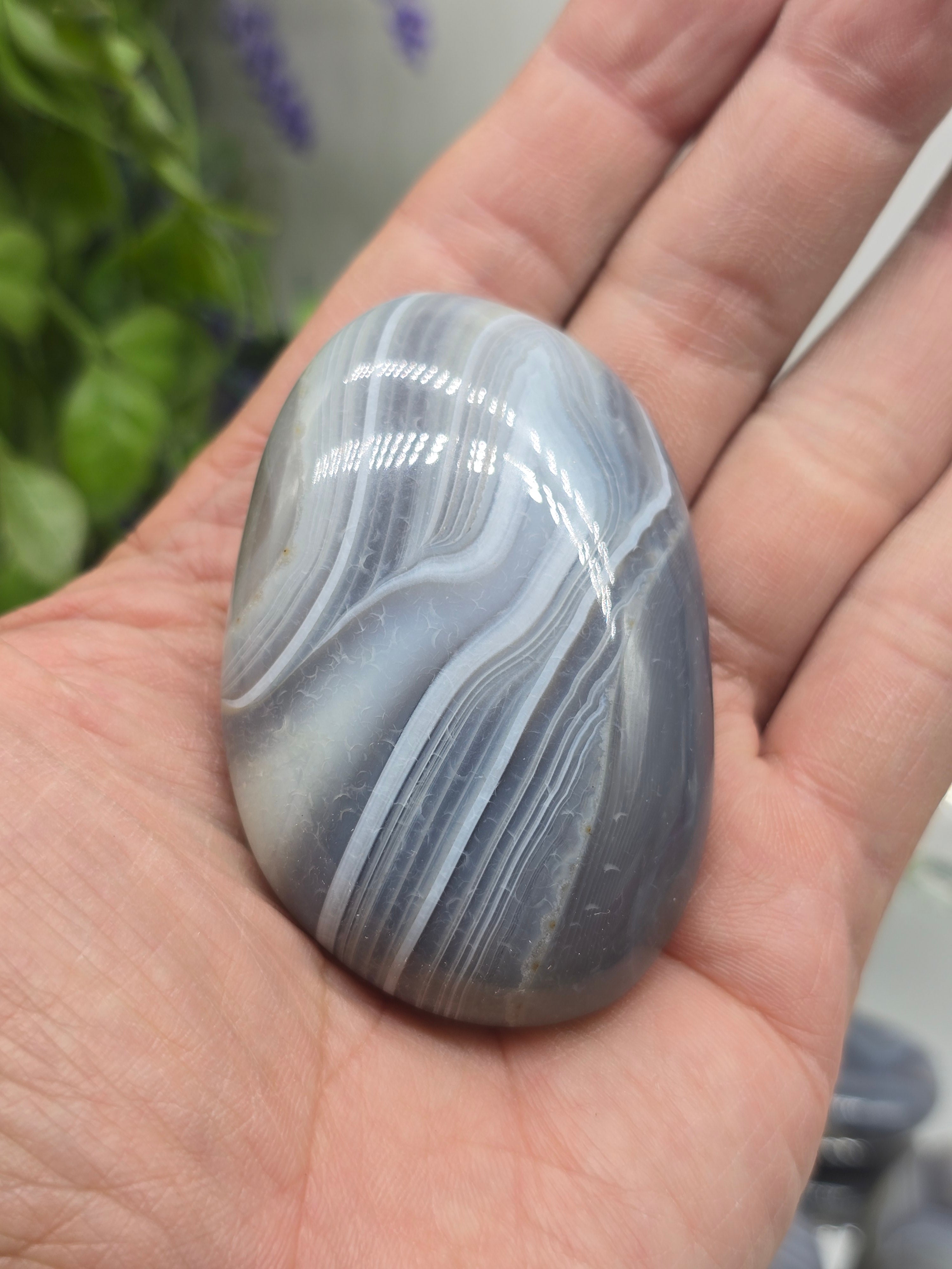 Botswana Agate Palm Stone – Emotional Balance | Gentle Protection | Grounded Strength Crystal Wellness