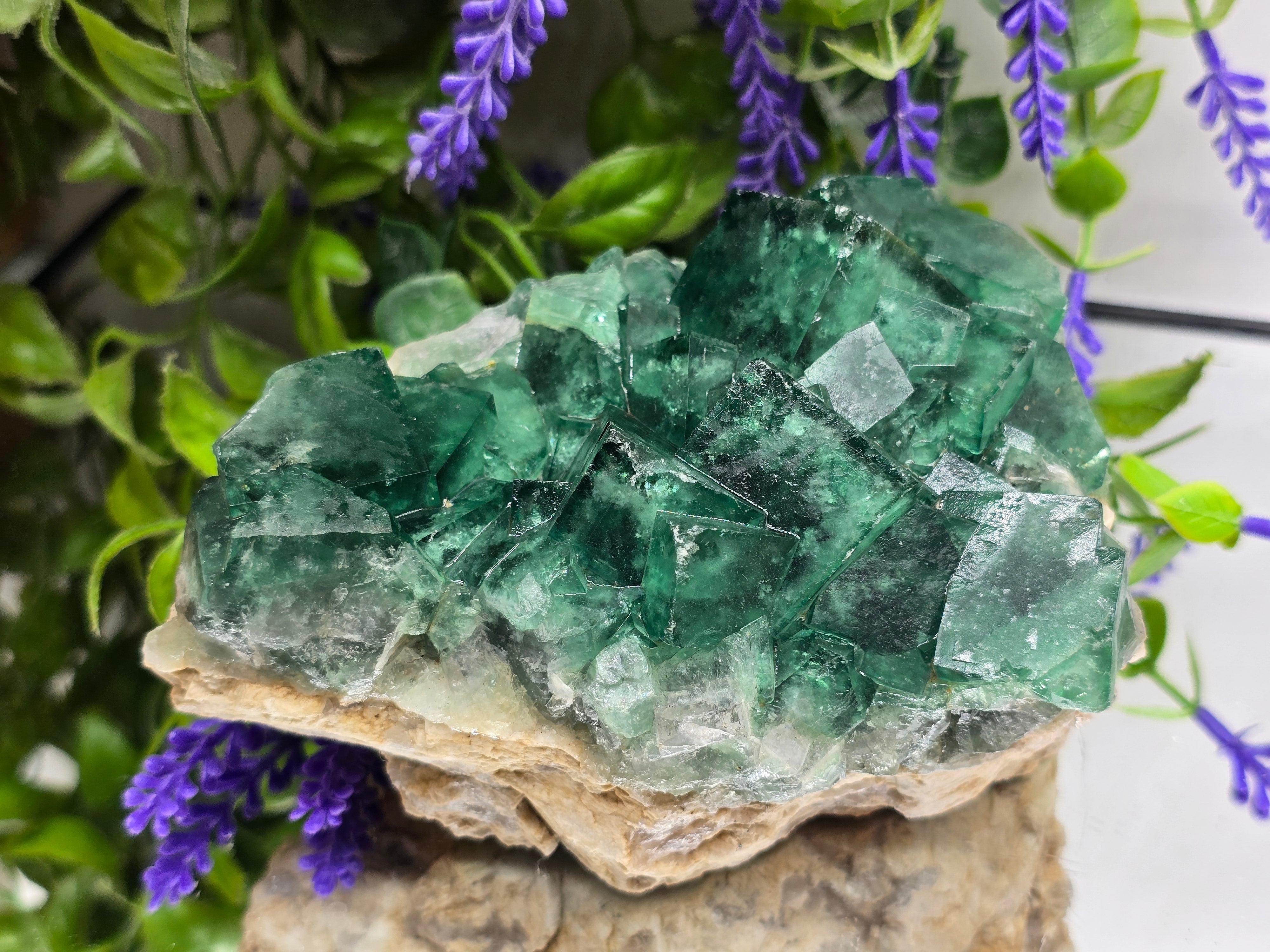 Natural Green Fluorite Cluster — Madagascar (Stone of Clarity & Renewal) Crystal Wellness