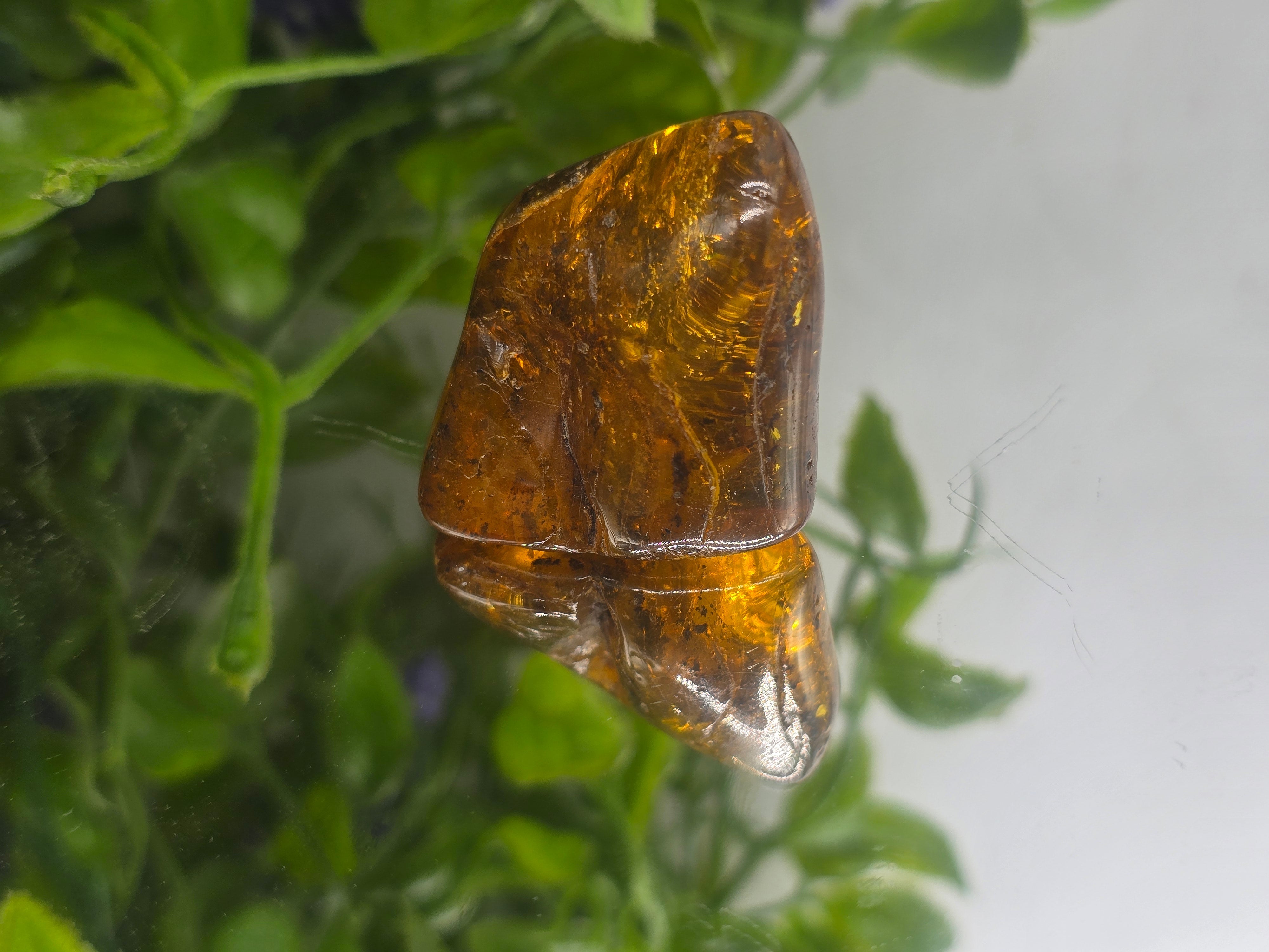 Baltic Amber Polished 16.60g Crystal Wellness