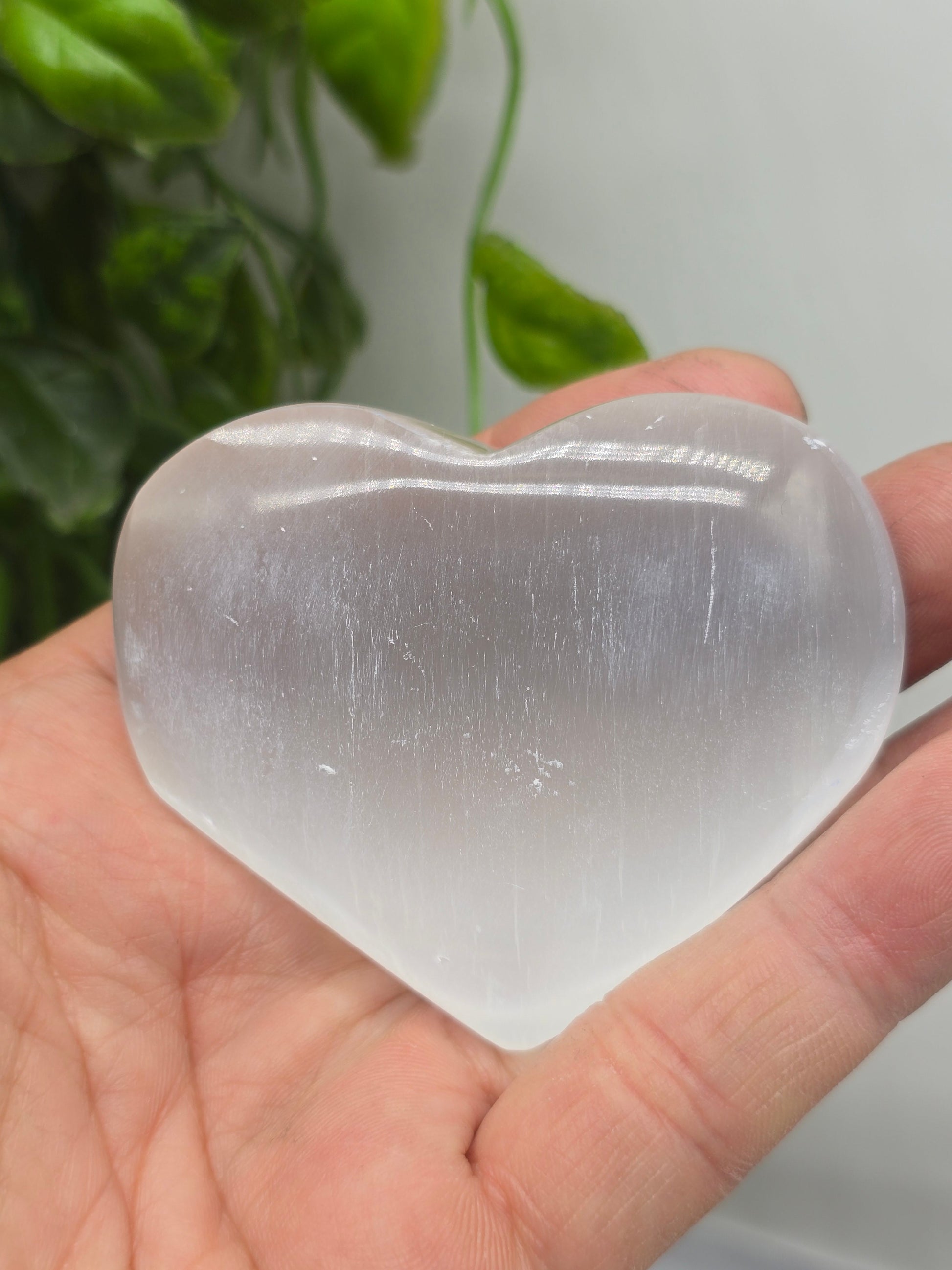 Selenite Palm Heart Crystal Wellness