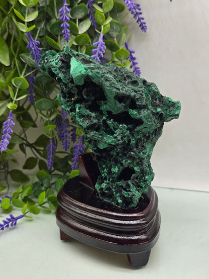Luxury High-Grade Fibrous Malachite Freeform Display Specimen – Stone of Transformation & Empowered Growth Crystal Wellness